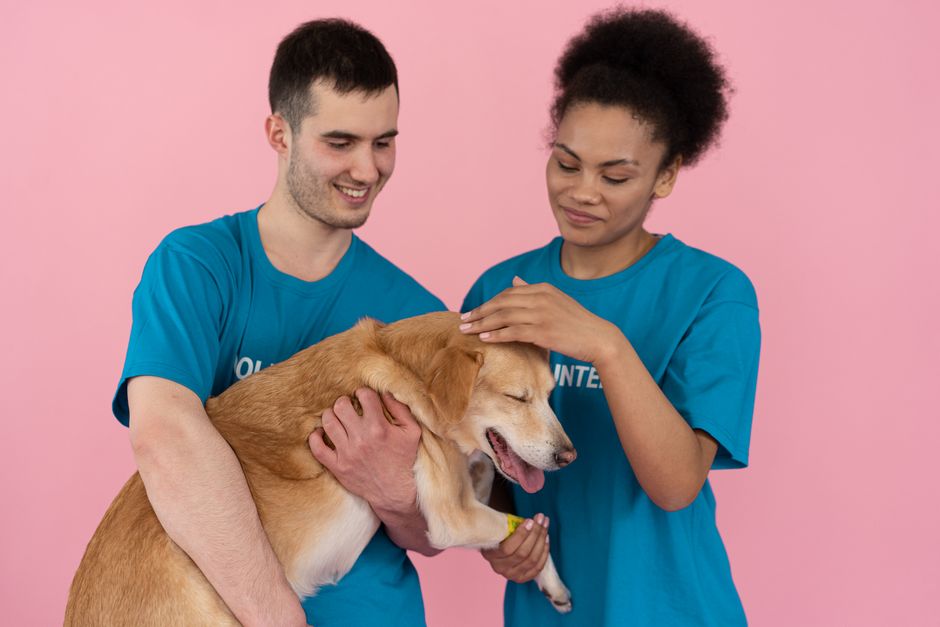 A volunteer spending time with a shelter dog